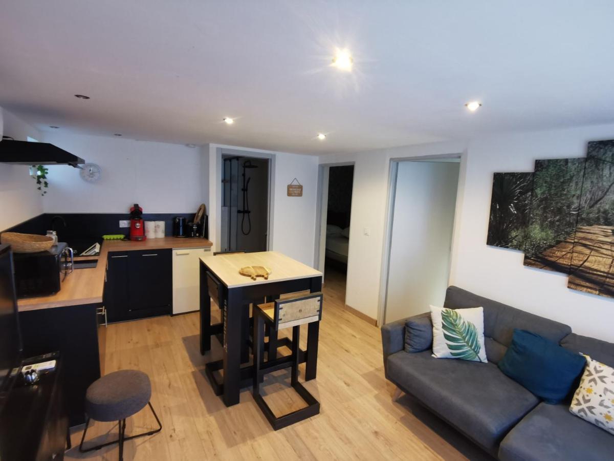 Gite 2 Chambres Avec Piscine Sernhac 외부 사진